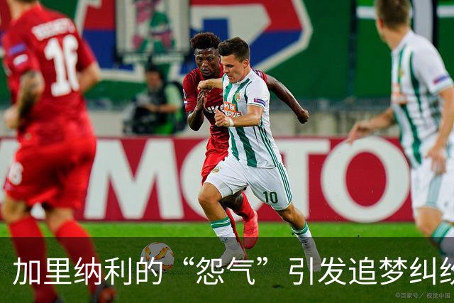 加里纳利的“怨气”引发追梦纠纷，NBA何时变成天价闹剧？