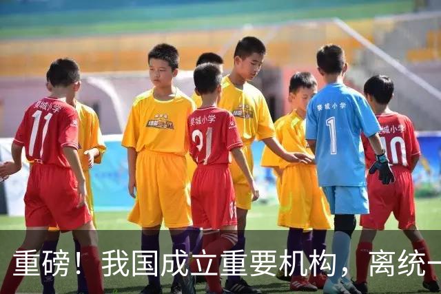 重磅！我国成立重要机构，离统一更进一步，美国罕见没说一句硬话