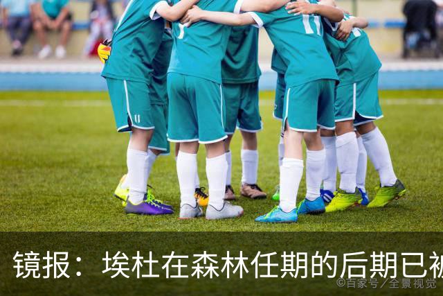 镜报：埃杜在森林任期的后期已被边缘化，转会操作未达预期